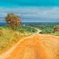 Safari - Amboseli